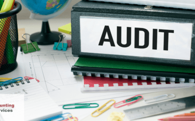 Audit Requirements for Companies in DMCC
