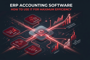 ERP Accounting Software